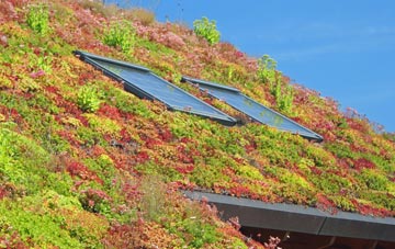 Blundeston living roof systems
