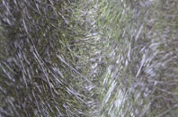 Blundeston fibreglass roof work